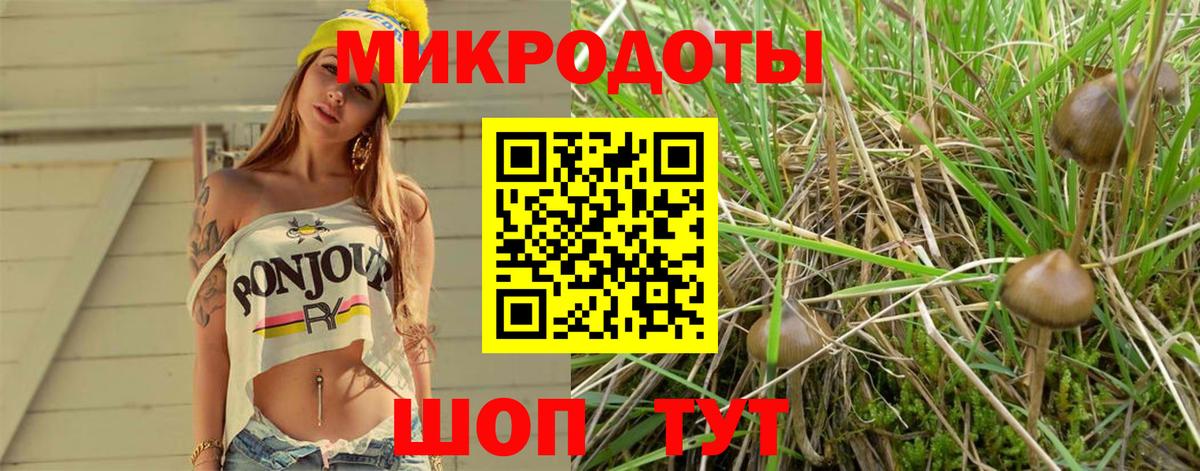 Псилоцибиновые грибы Magic Shrooms Ижевск